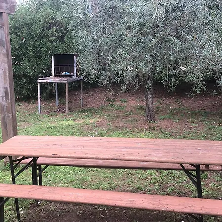 Apartment Tranquil Location With Views Of Trasimeno! Passignano sul Trasimeno